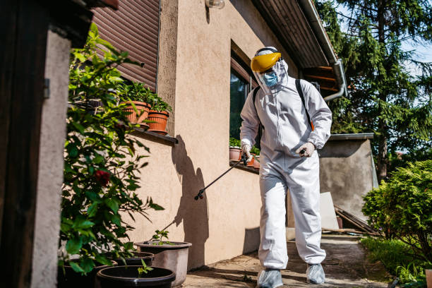 Escondido, CA Pest Control Company