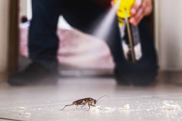 Best Cockroach Control Services  in Escondido, CA