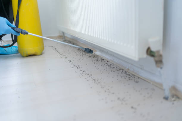Best Pest Control for Restaurants  in Escondido, CA