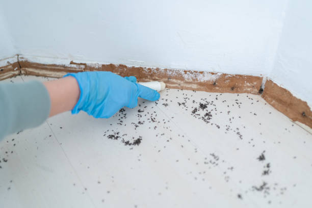 Best Wildlife Control Services  in Escondido, CA