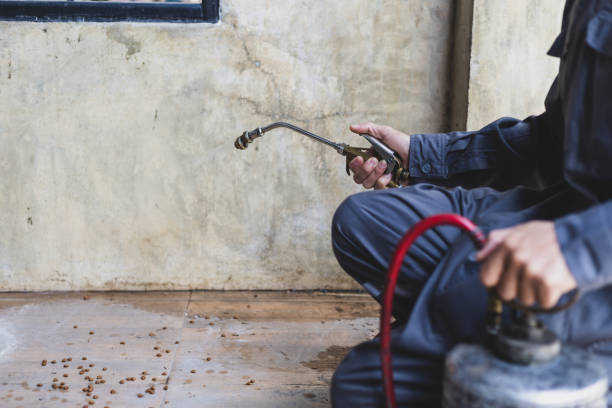 Best Emergency Pest Control  in Escondido, CA