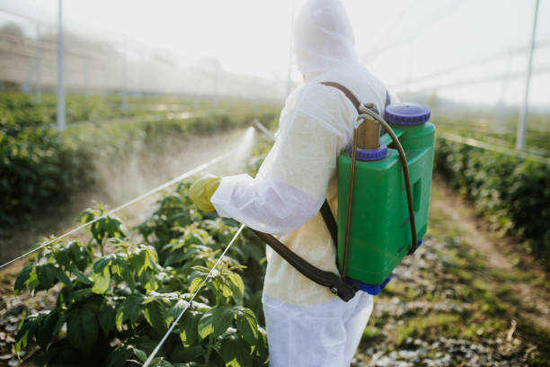 Best Insect Control  in Escondido, CA